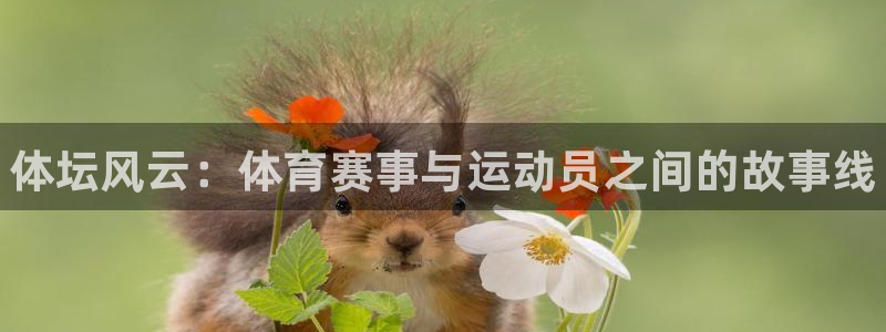 MK体育官方正版app集团：体坛风云：体育赛事与运动