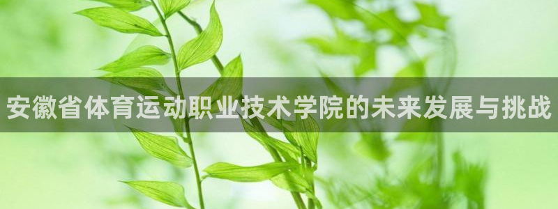 MK体育官方正版app娱乐平台：安徽省体育运动职业技
