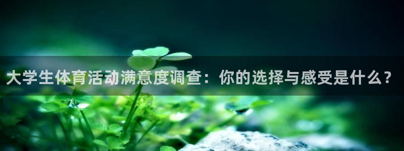 MK体育官网下载：大学生体育活动满意度调查：你的选择