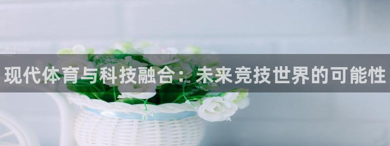 MK体育官方正版app五金厂：现代体育与科技融合：未