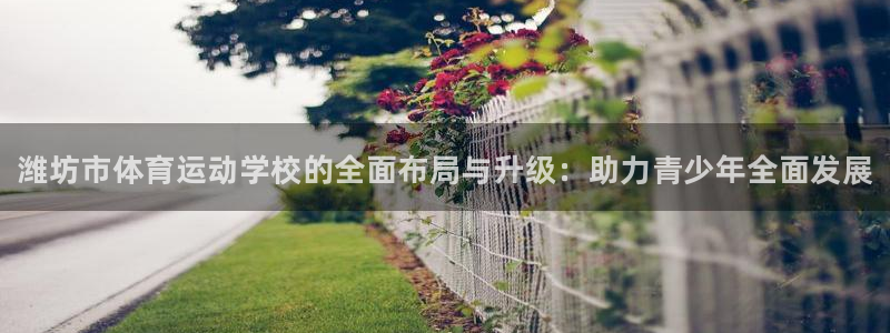 MK体育官网下载平台注册流程图：潍坊市体育运动学校的