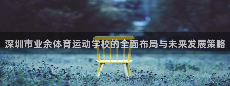 MK体育官方正版app开户：深圳市业余体育运动学校的