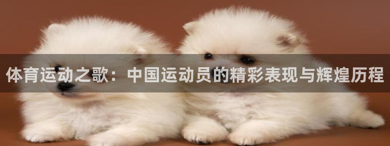 MK体育官方正版app娱乐是那个系列的台子：体育运动