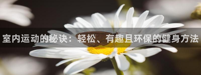 MK体育官网下载平台APP：室内运动的秘诀：轻松、有
