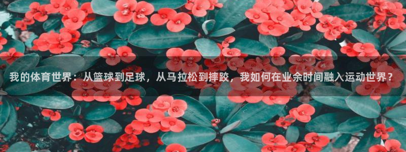 MK体育官方正版app官网：我的体育世界：从篮球到足