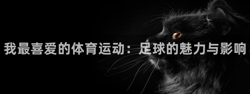 MK体育官方正版app代理：我最喜爱的体育运动：足球