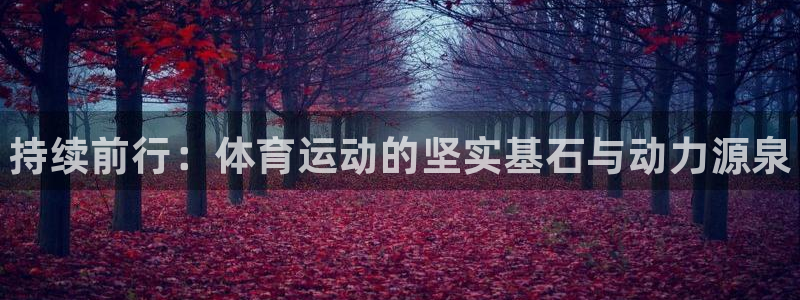 德国MK体育官方正版app集团：持续前行：体育运动的坚实基石