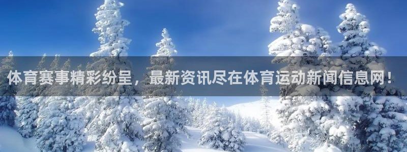 德国MK体育官方正版app集团