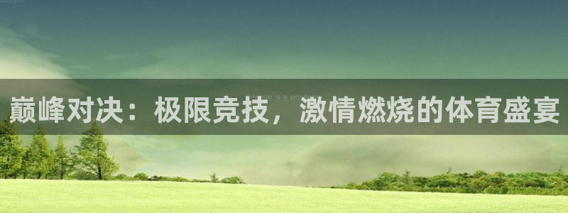 MK体育官网下载是干嘛的公司：巅峰对决：极限竞技，激情燃烧的