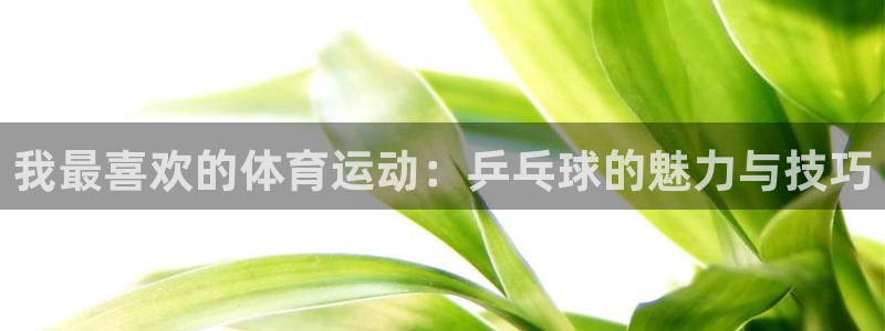 MK体育官方正版app娱乐首页官网下载：我最喜欢的体育运动：