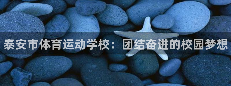 MK体育官网下载：泰安市体育运动学校：团结奋进的校园梦想