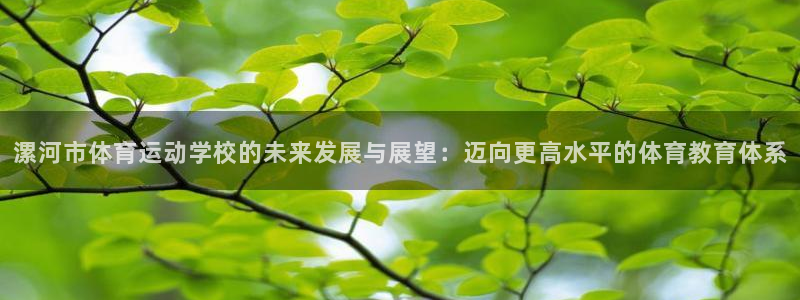 MK体育官网下载联系电话：漯河市体育运动学校的未来发
