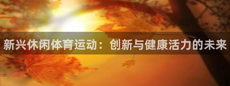 MK体育官方正版app代理：新兴休闲体育运动：创新与