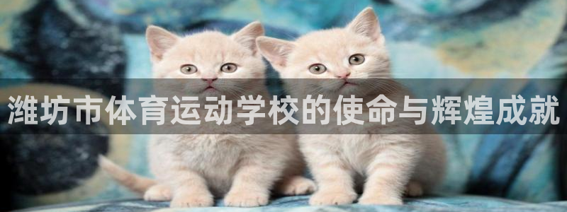 MK体育官网下载注册：潍坊市体育运动学校的使命与辉煌