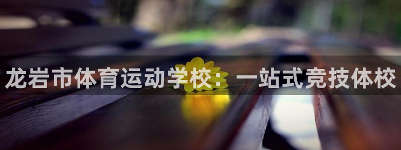 MK体育官方正版app科技：龙岩市体育运动学校：一站式竞技体