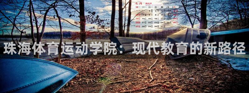 MK体育官方正版app代理