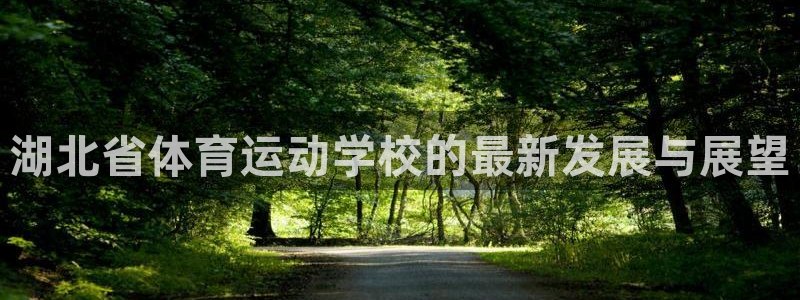 MK体育官网下载招商电话号码