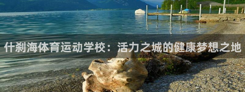 MK体育官网下载平台注册要钱吗是真的吗：什刹海体育运动学校：