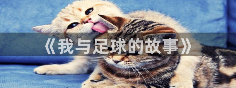 MK体育官网下载联系电话：《我与足球的故事》