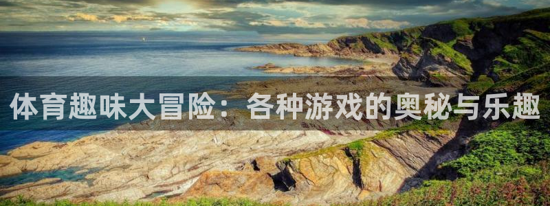 MK体育官方正版app集团E.ON：体育趣味大冒险：