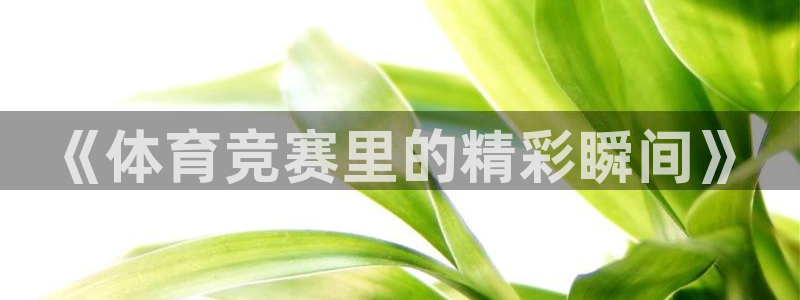 MK体育官网下载注册：《体育竞赛里的精彩瞬间》