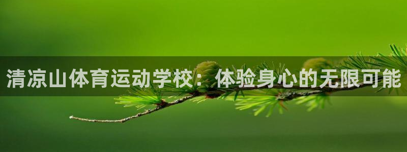 MK体育官方正版app娱乐首页网站大全：清凉山体育运动学校：