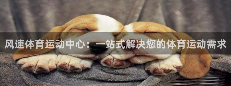 MK体育官方正版app集团：风速体育运动中心：一站式解决您的