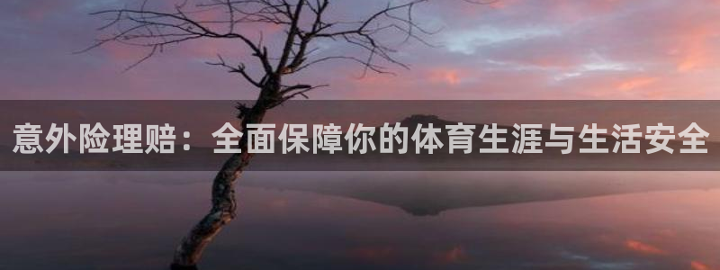 MK体育官网下载招商电话是多少：意外险理赔：全面保障你的体育