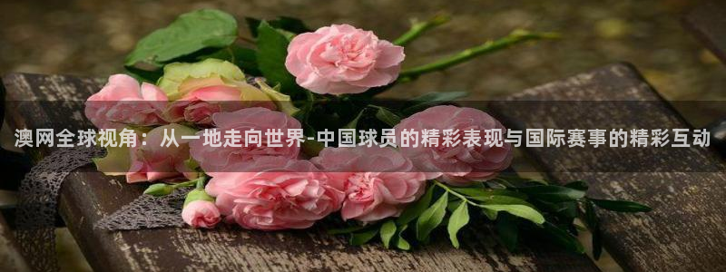 足球比赛直播小九：澳网全球视角：从一地走向世界-中国球员的精彩表现与国际赛事的精彩互动