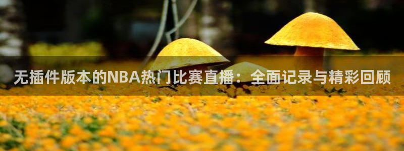 小九足球直播在线观看