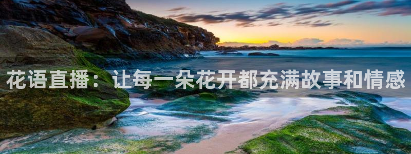 小九体育直播在线观看：花语直播：让每一朵花开都充满故事和情感