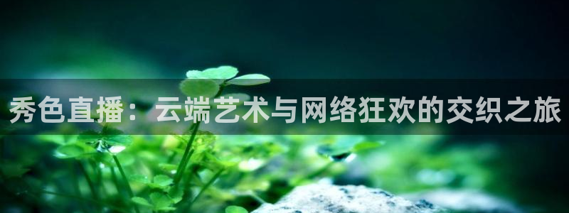 小九篮球直播：秀色直播：云端艺术与网络狂欢的交织之旅