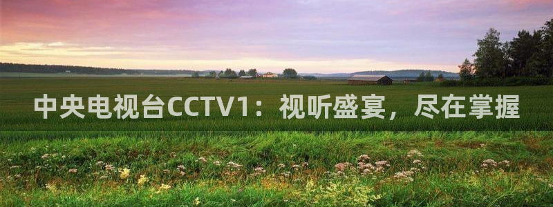 小九直播：中央电视台CCTV1：视听盛宴，尽在掌握