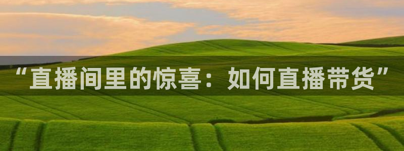nba小九直播：“直播间里的惊喜：如何直播带货”