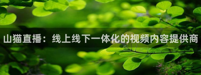 小九直播网站：山猫直播：线上线下一体化的视频内容提供商